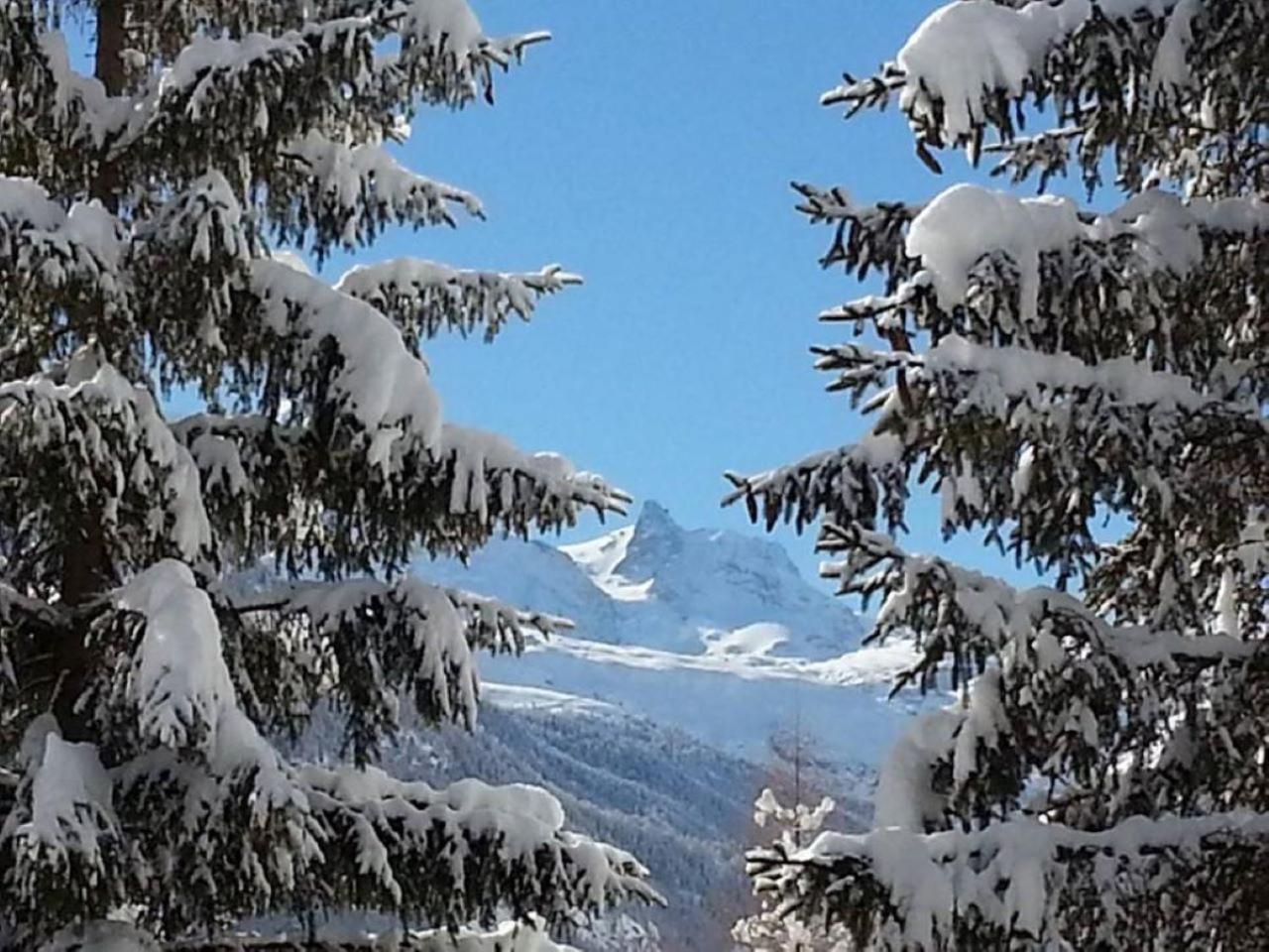 Monte Rosa Taesch, Apartments Mit Wellness Bereich Dış mekan fotoğraf