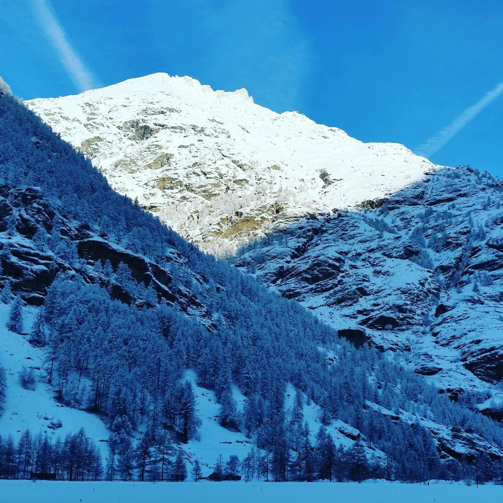 Monte Rosa Taesch, Apartments Mit Wellness Bereich Dış mekan fotoğraf